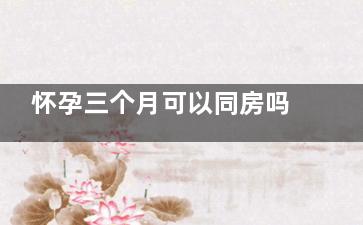 怀孕三个月可以同房吗 怀孕3个月要注意什么(怀孕三个月可以自己安慰吗)